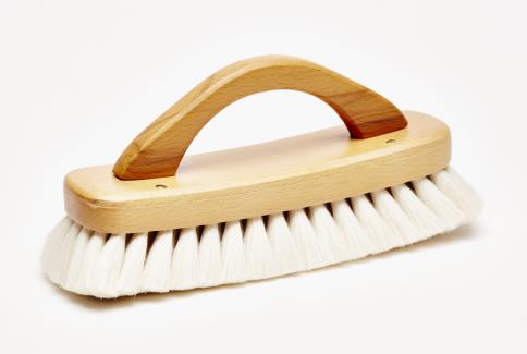 Shoe Shine Brush