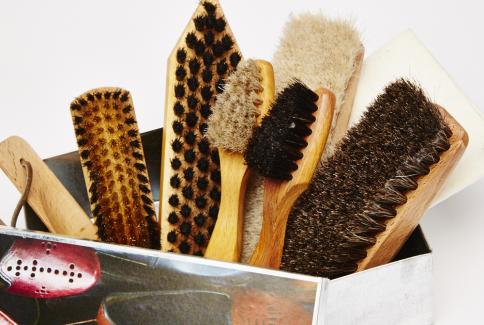 Shoe Brush Set