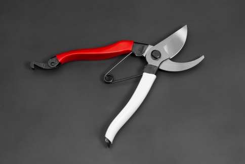 Japanese Secateurs